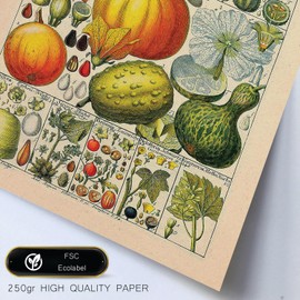 Nacnic Set of 6 Healthy Posters In Vintage Prints Aesthetic Decorative Prints For Your Living Room Bedroom Home Sizes A4 A3