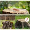 14Pcs Copper Nails Kit to Killing Trees,Includes 12PCS 3.5 Inch