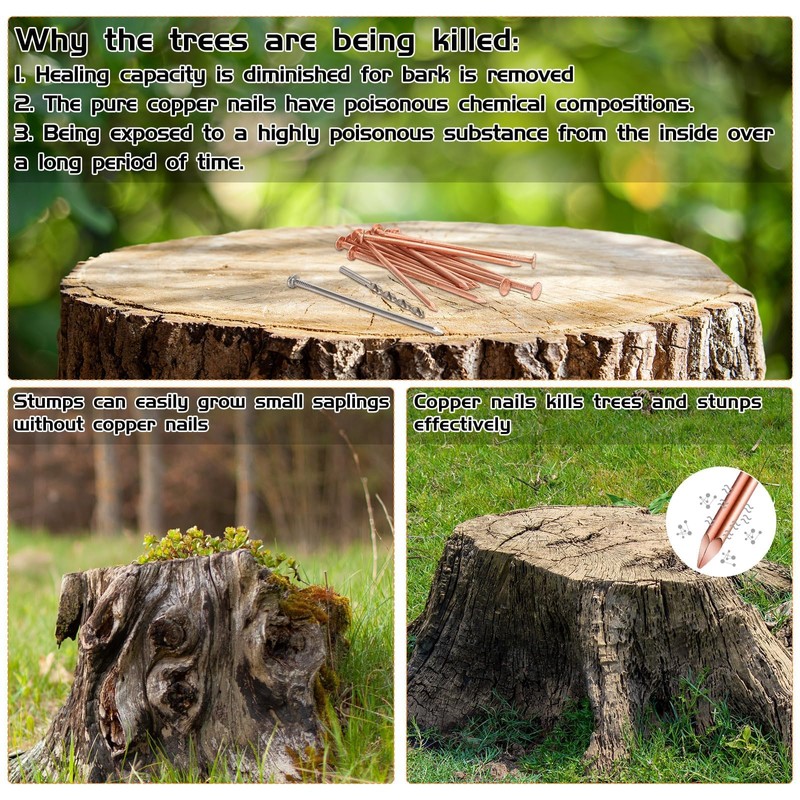 14Pcs Copper Nails Kit to Killing Trees,Includes 12PCS 3.5 Inch