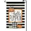 Hello Pumpkin Fall Garden Flag 12x18 Inch Vertical Double Sided