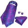 DiBanGu Blue Purple Ascot Ties for Men Cravat Tie and