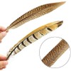 12pcs Natural Pheasant Feathers 4 Style 20-25cm Natural Feathers for