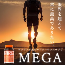 MEGA マルチビタミン ミネラル サプリメント ビオチン 亜鉛 鉄 葉酸 ナイアシン サプリ 30日分 VAVAV