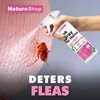 NatureStop Flea Spray for Home, Fast-Acting Flea Killer for Carpets,