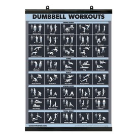 Palace Learning Dumbbell Workout Exercise Poster [Dark] (LAMINATED WITH PLASTIC FRAME, 18" x 24")