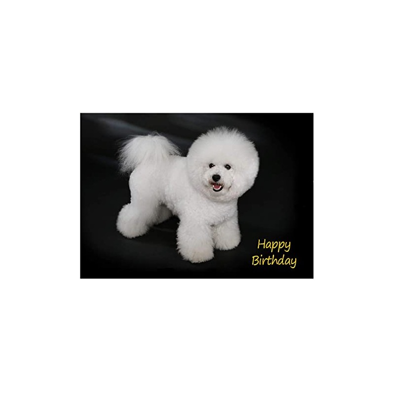 Bichon Frise Dog Birthday Card