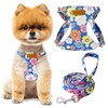 SlowTon Puppy Harness and Leash Set - No Pull Soft