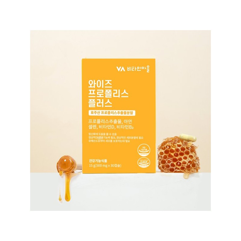 Vitamin Village 5중복합기능성 프로폴리스 플러스 면역력 항산화 1박스 30캡슐 5-in-1