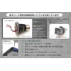 HaruDesign 5800K Light STAFF VA 6K FtW Plant Growing LED