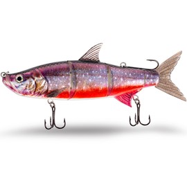 FISHN® TRAWL27 - XL Swimbait, Magnetic Top Hook System, Diving Depth: 2-5 Metres, 27 cm, 218 g, Slow Sinking, 3 Taking Points, Large Trolling Bait for Pike Fishing (TRAWL27 Char)