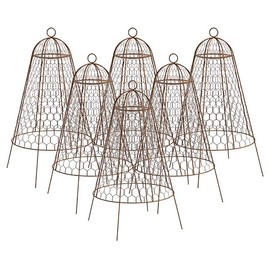 Panacea Rustic Wire Garden Cloches, Set of 6 – 20" H x 12" Dia Plant Protectors – Metal Chicken Wire Dome with 4-Leg Base – Durable Outdoor Garden Cloches for Shrubs, Flowers & Vegetables