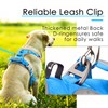 ThinkPet Anti-Pull Dog Harness, with Handle, Easy to Control, Adjustable,