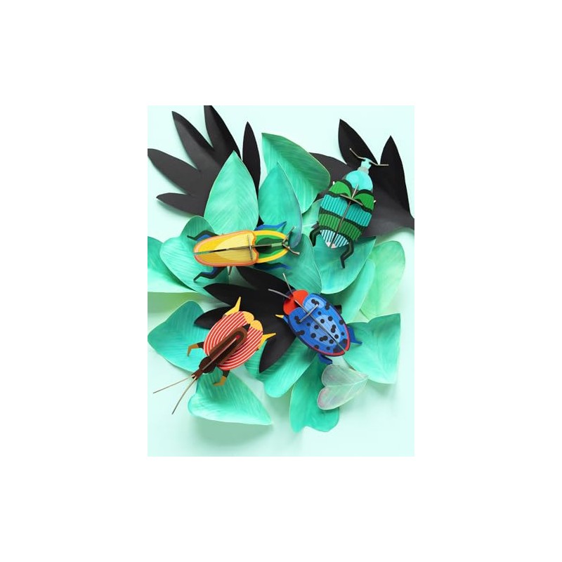 3D Madagascar Bette Strudio Roof Beetle