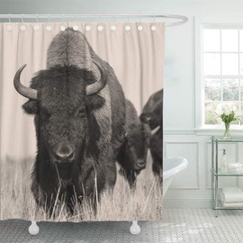 Emvency Decorative Shower Curtain Head Bison Buffalo in Sepia Herd of Shot One Animal 72"x78" Waterproof Bathroom Decor Vintage Majestic Cow Shower Curtain Set with Hooks