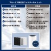 Blue Air Air Purifier, Replacement Filter, Particle Plus, Carbon 106332,