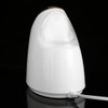 100ml Facial Steamer Nano Steam SPA Spray Moisturizer Face Sprayer