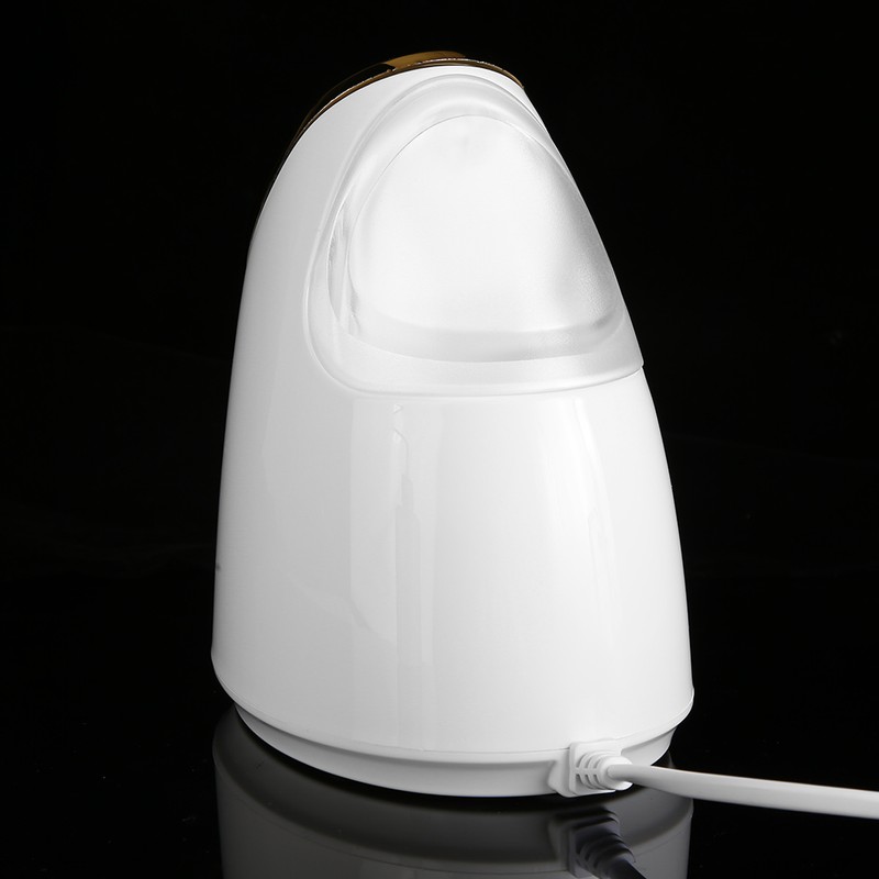 100ml Facial Steamer Nano Steam SPA Spray Moisturizer Face Sprayer