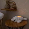 Nattou LED Night Light Koala Bear Starry Sky Projector 3