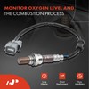 A-Premium O2 Oxygen Sensor Compatible with Honda Civic 2003 2004