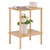 Apicizon 2 Tier End Table, Boho Side Table with Storage