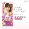 Beauty Labo Whip Hair Care Hair Dye
