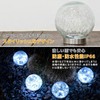 Garden Master WLL-1030-3WH LED Solar Light, Diameter 4.7 inches (12