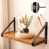Hollow Wall Anchors for Drywall, Plastic Butterfly Kit with Screws,