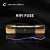 Gustard HiFi Fuse 630mA Sound Protection Fuse for Gustard U16