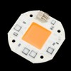 LED Chip Full Spectrum Plant Grow Light COB Bead Lamp
