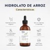 PROBIOTIX KIDS, 10 Billones de Probióticos, Tabletas Masticables Sabor Moras,