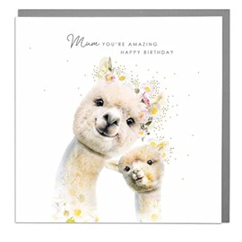 Lola Design - Birthday Cards for Mothers - Alpaca Design, Mum You're Amazing, Birthday Card - Blank Card with Grey Envelope - Designed and Printed in the UK - 150mm x 150mm