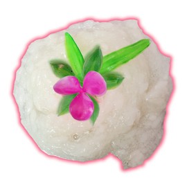 Mango Sticky Rice Handmade Scented DIY Slime Kit - Hoshimi Slimes