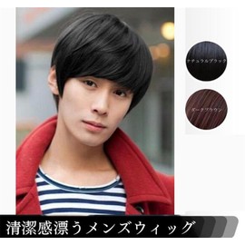 Wig, Men's Wig, Full Wig, For Hair, Short, Men's Wig, Handsome, Stylish, Fashion, Business, Short Hair, Natural, Breathable, Heat Resistant, Natural Short, Idle Style (A)