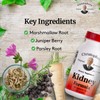 Christopher's Original Formulas Kidney Formula - Cleanse Detox & Repair