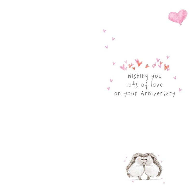HAPPY ANNIVERSARY Anniversary card 'Happy Hedgehogs' Range