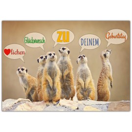 A4 XXL Birthday Card MEERKAT With Envelope - Elegant Folded Card With Funny Meerkat - Greeting Card For A Birthday From BREITENWERK