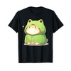 Cute Cat In Frog Costume Kawaii Anime Kitty Kitten Frog