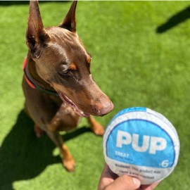 PUP Pouch Dog Toy - Squeaking Plush Dog Toy for Small, Medium, and Large Dogs - Funny Pet Toy for All Breeds - Cool Stuffed Parody Dog Toys