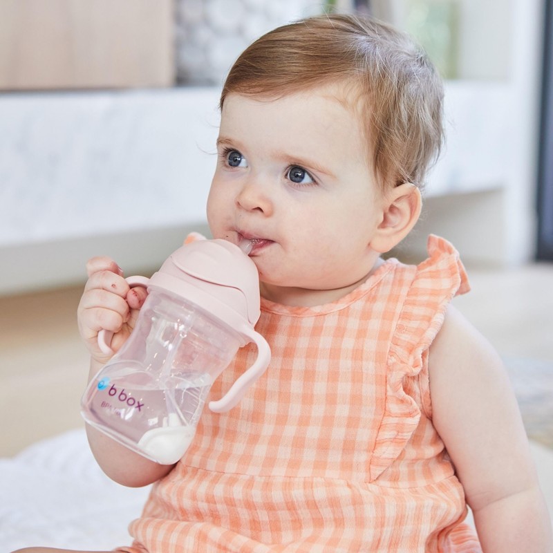 b.box Sippy Bottle to Cup Transition Value Pack for Babies