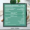 Alga Espirulina Polvo 500 Gramos Pura