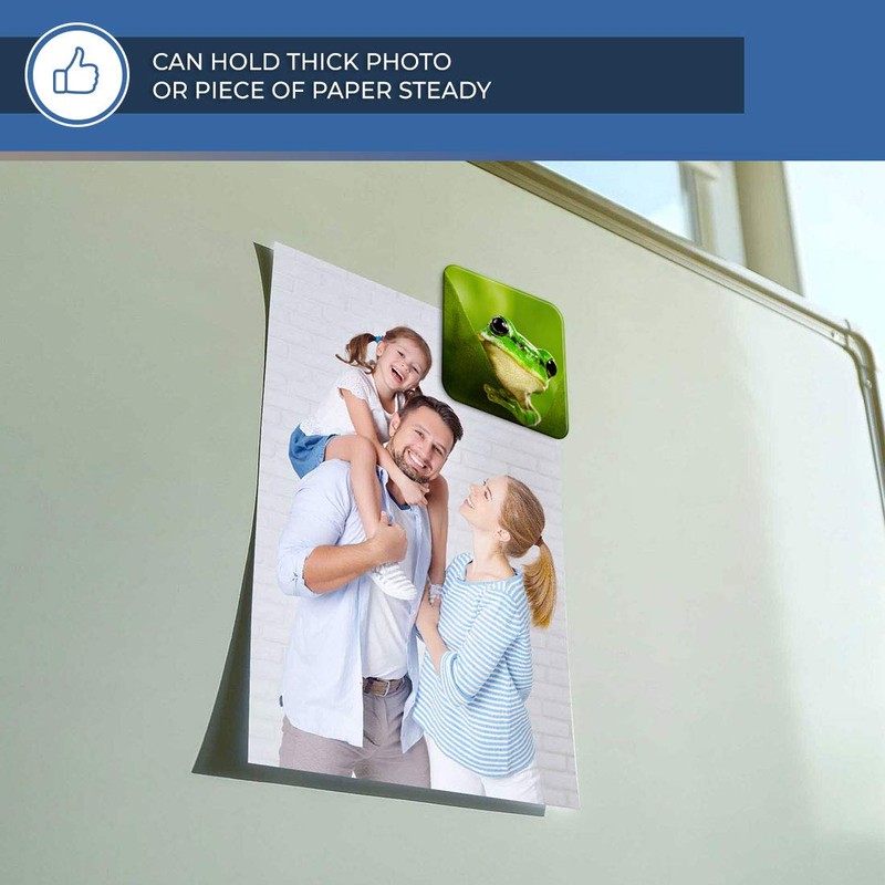 Destination Vinyl ltd Fridge Magnet - Green Tree Frog Jungle