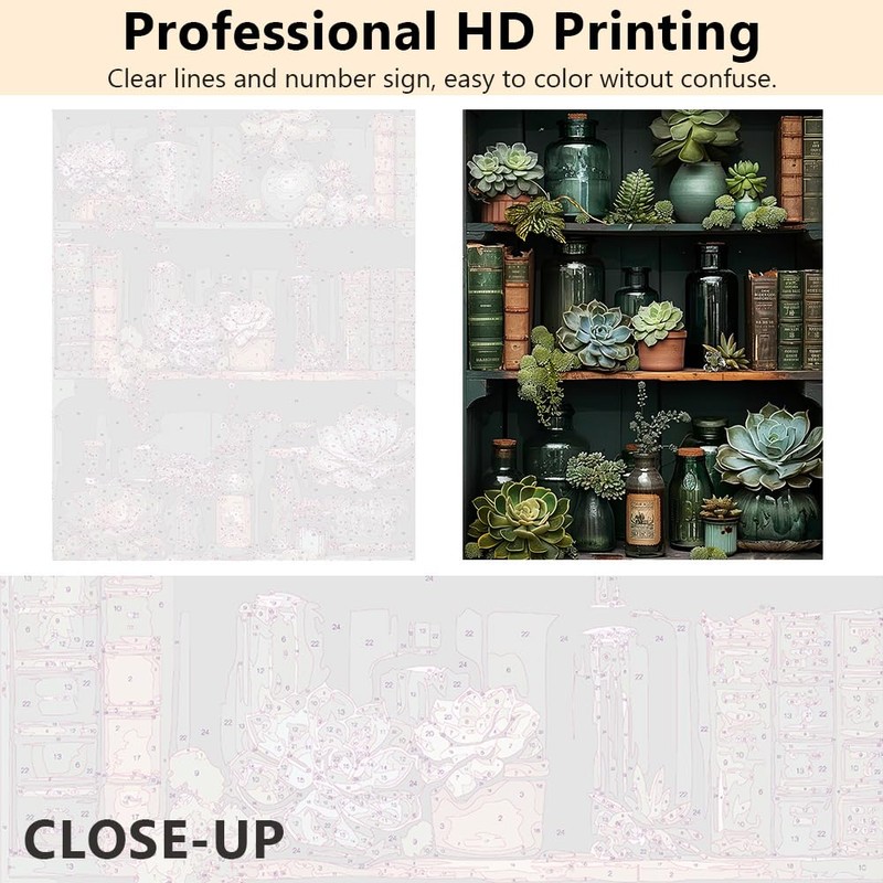 TISHIRON Paint by Numbers for Adults, Beginners, Detailed Shelves with