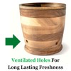 Jean Lemond Introducing The Always Fresh Acacia Garlic Keeper For