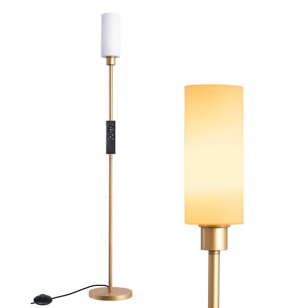 EDISHINE LED Corner Floor Lamp with Glass Lampshade, Modern Dimmable