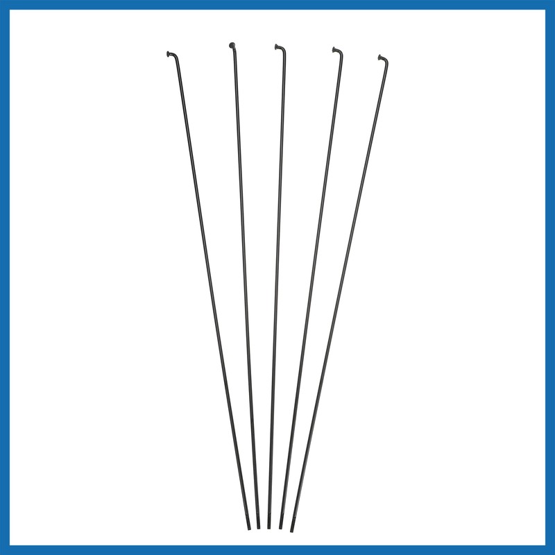 A ABSOPRO 12 Pcs 14G J Bend 282mm Bike Bicycle