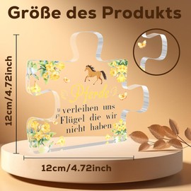 Horse Girls Gift, Horse Gift, Horse Gifts for Adults, Gifts for Horse Lovers, Horse Gifts for Girls, Gifts for Rider Girls, Horse Things, Horse Acrylic Ornament