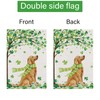 Louise Maelys St Patricks Day Garden Flag Shamrock Golden Retriever