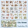 Ruzister 54 Sheets Scrapbook Accessory Set, Garden Flowers Streetscape, Pre-Cut