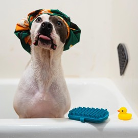 Messy Mutts Reversible Silicone Dual Sided Pet Grooming Brush | Gentle Massage, Brushing, Bathing and Dog Hair Removal Tool | One Size Fits All | Blue