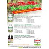 ekurekutexikku netoru (Nettles) MG X 90 Capsules E032 